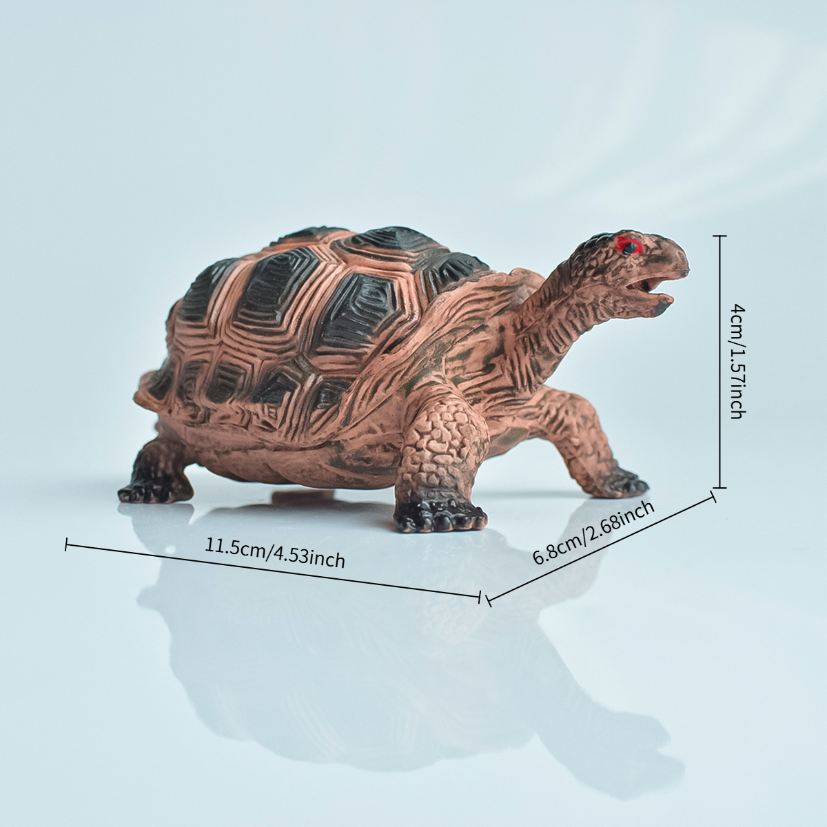 Painted Realistic Animal Turtl - Home Office Word avaliação e preço