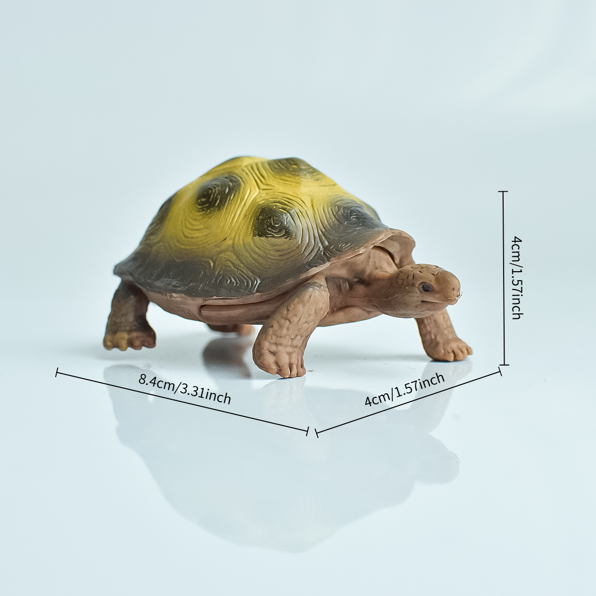 Painted Realistic Animal Turtl - Home Office Word avaliação e preço