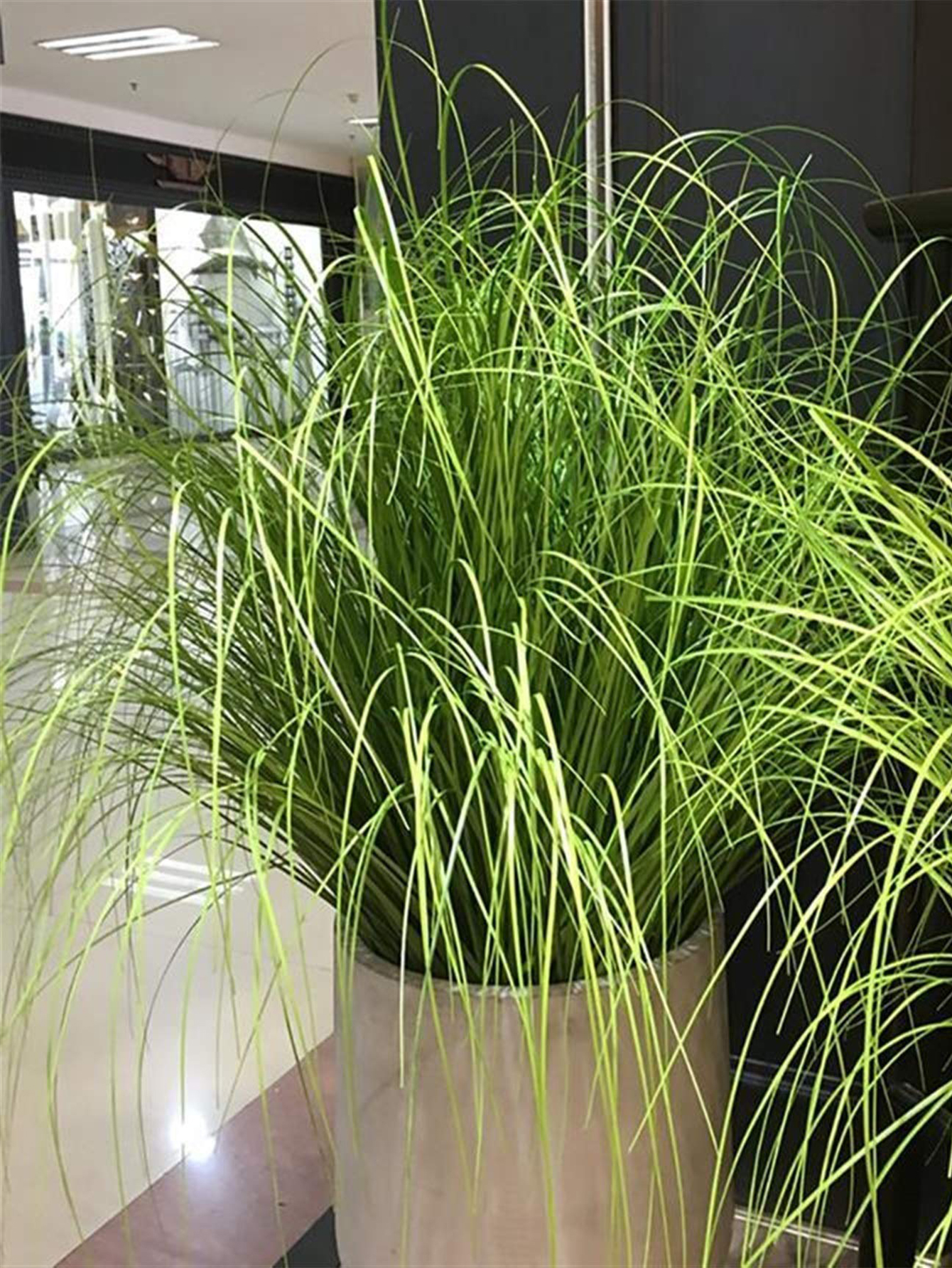 55cm Artificial Reed Grass Lar - Home Office Word avaliação e preço