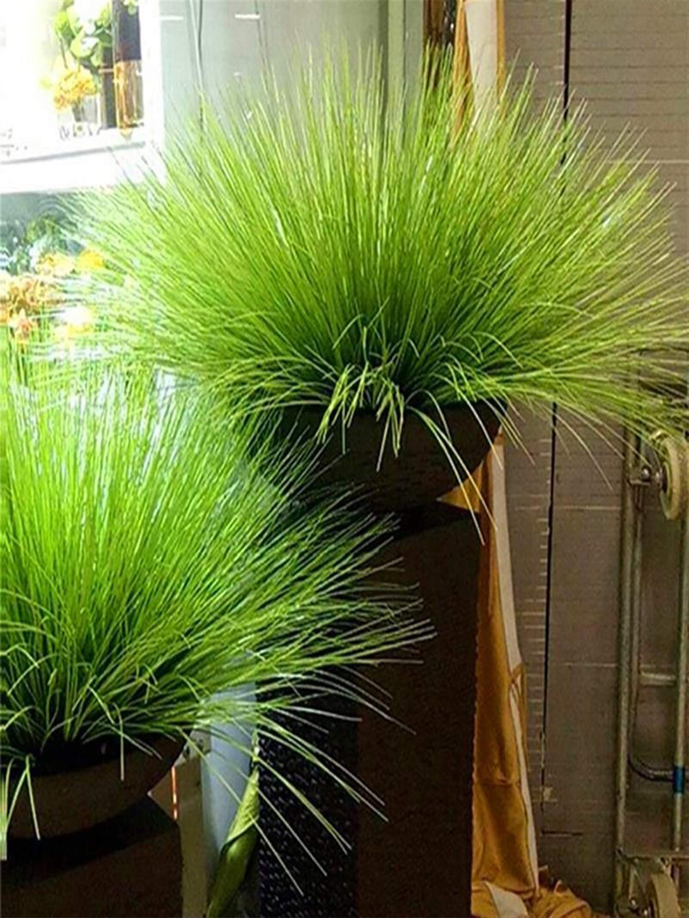 55cm Artificial Reed Grass Lar - Home Office Word avaliação e preço