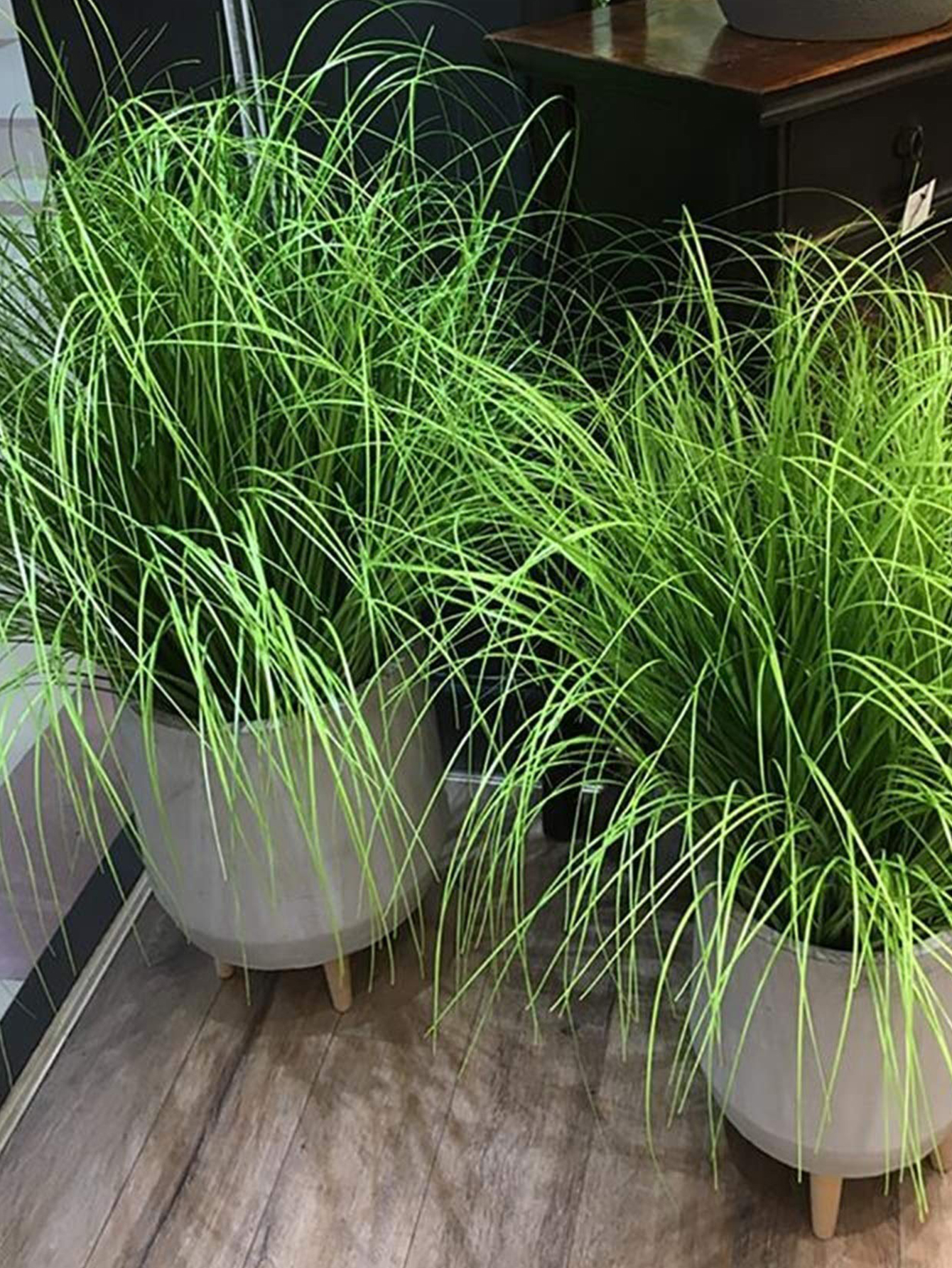 55cm Artificial Reed Grass Lar - Home Office Word avaliação e preço